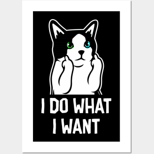 What I Want Posters and Art